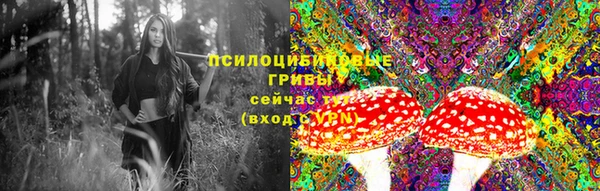 стаф Пестово