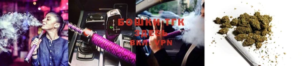 spice Осташков