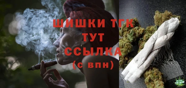 стаф Пестово